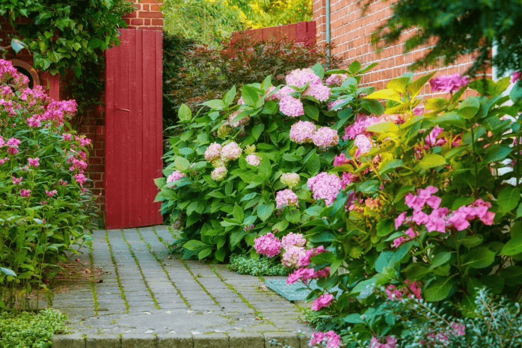 Inspiring garden design ideas